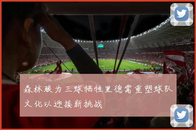 森林狼为三球牺牲里德需重塑球队文化以迎接新挑战